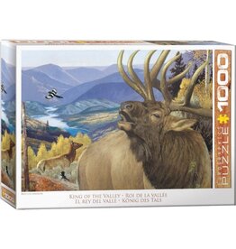 Eurographics Puzzle: King of the Valley
