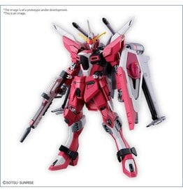 Bandai Gunpla: High Grade - Gundam SEED Freedom INFINITE JUSTICE GUNDAM TypeII