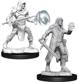 WizKids D&D Nolzur's MUM: W13 Multiclass Fighter + Wizard Male