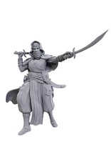 WizKids Pathfinder DC: W23 Desert Giant