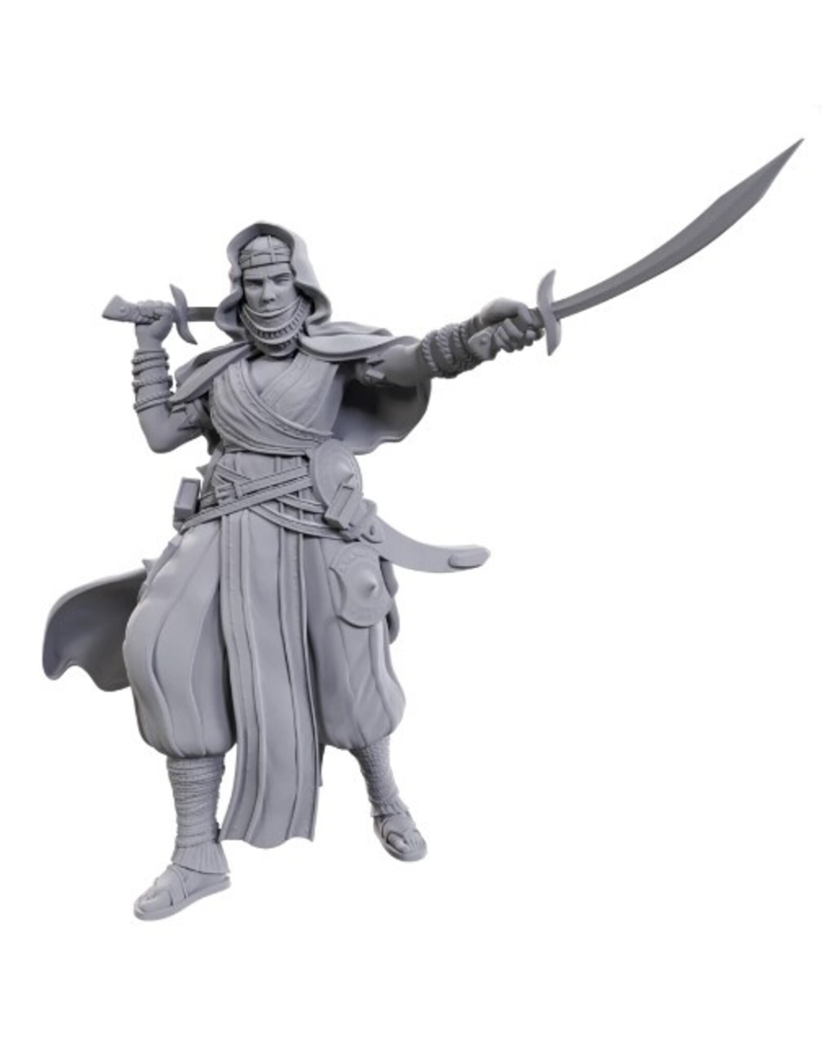 WizKids Pathfinder DC: W23 Desert Giant