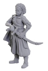 WizKids D&D Nolzur's MUM: W23 Ansalon Human Rogue