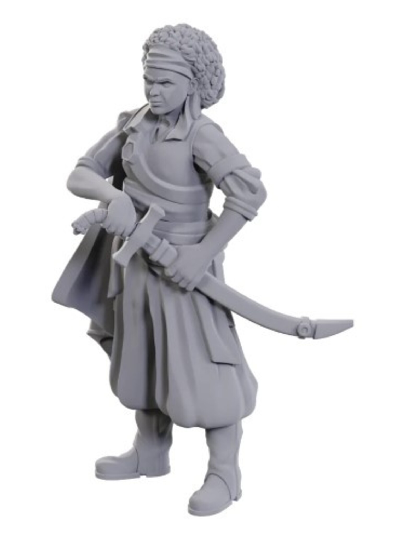 WizKids D&D Nolzur's MUM: W23 Ansalon Human Rogue