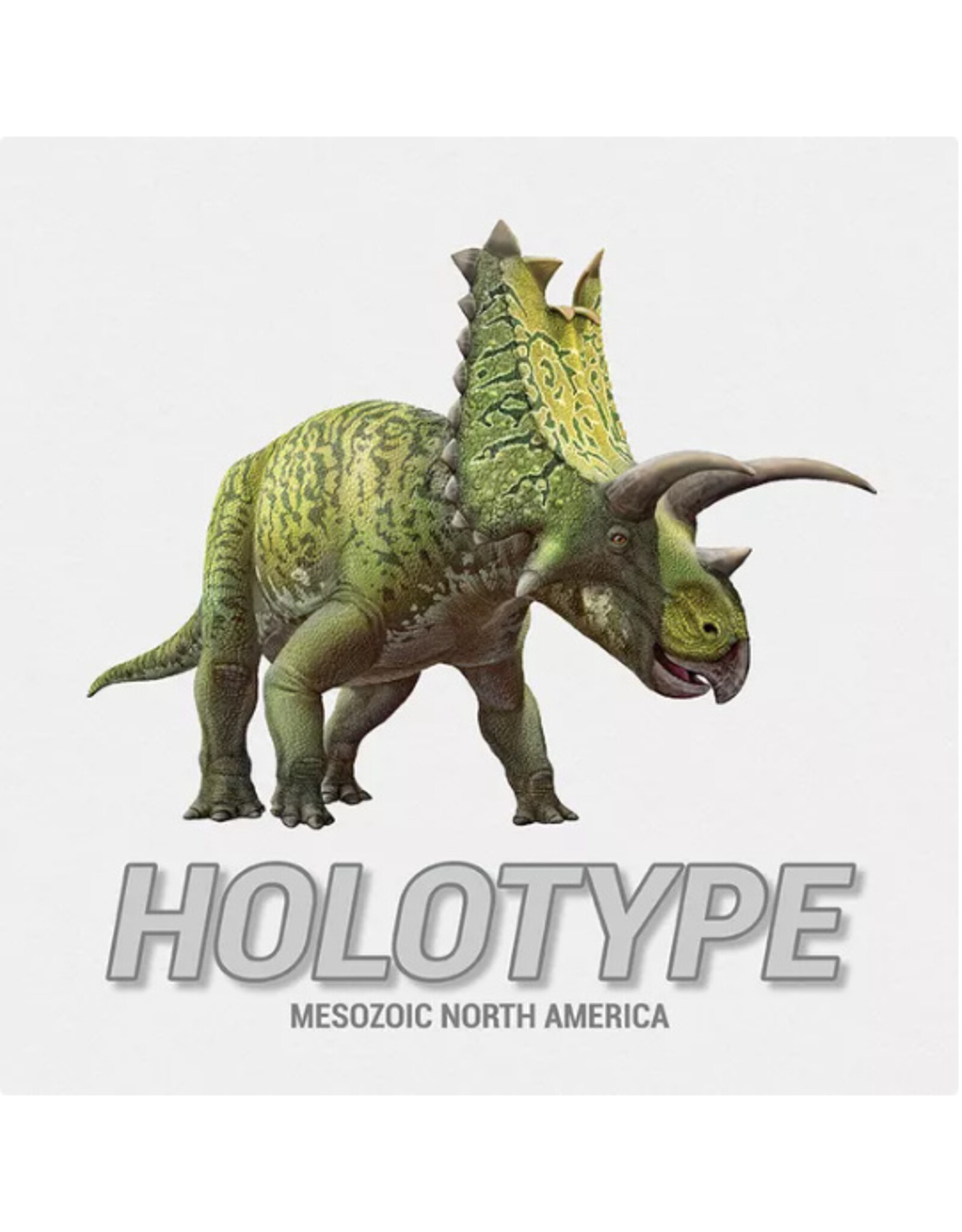 Holotype: Mezozoic North America