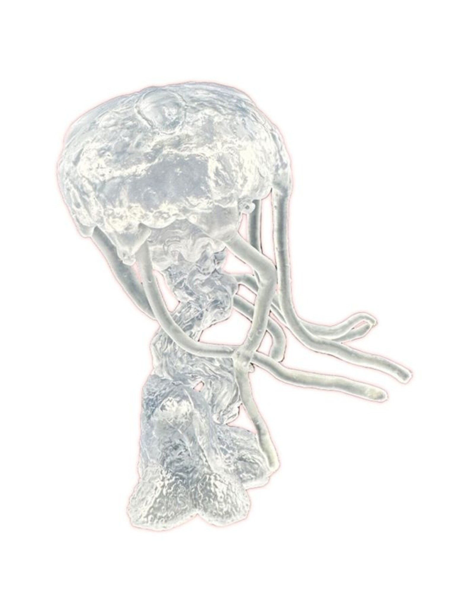 Reaper Reaper Bones Black: Dire Jellyfish