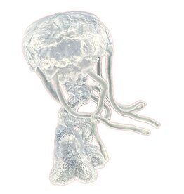 Reaper Reaper Bones Black: Dire Jellyfish