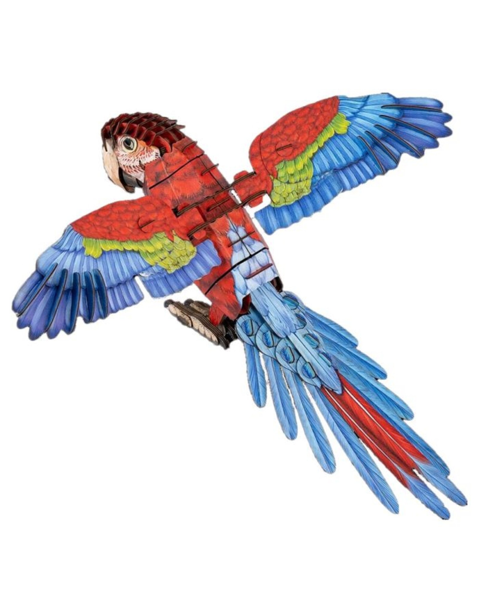 Kraft Paper Puzzle: Macaw 3D