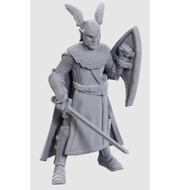 Reaper D&D Nolzur's MUM: Limited Edition 50th Anniversary Elves