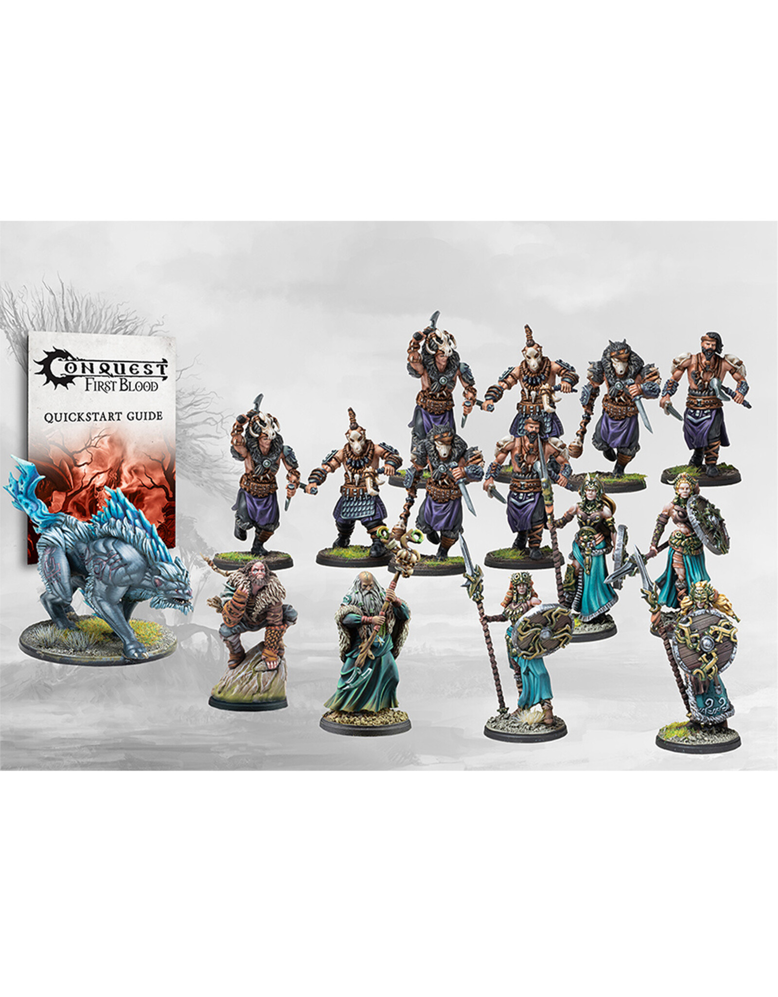 Para Bellum Nords: First Blood Warband