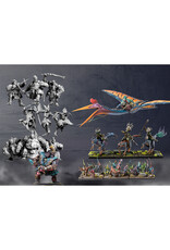 Para Bellum Conquest Two player Value Starter Set - Yoroni vs Wadruhn