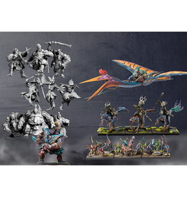 Para Bellum Conquest Two player Value Starter Set - Yoroni vs Wadruhn