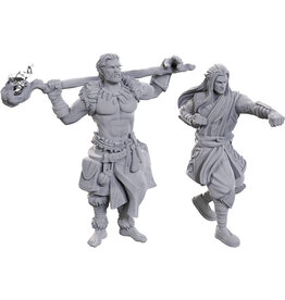 WizKids D&D: Nolzur's MUM: W24 Archdruid & Martial Arts Adept