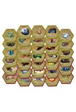 Heroscape Heroscape: Glyph Pack (Pre Order)