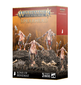 Age of Sigmar Spearhead: Sons Of Behemat