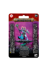 Age of Sigmar Tzeentch Arcanites Tzaangor Shaman