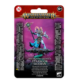 Age of Sigmar Tzeentch Arcanites Tzaangor Shaman