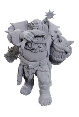 WizKids D&D: Nolzur's MUM - W25 Ogre Soldier