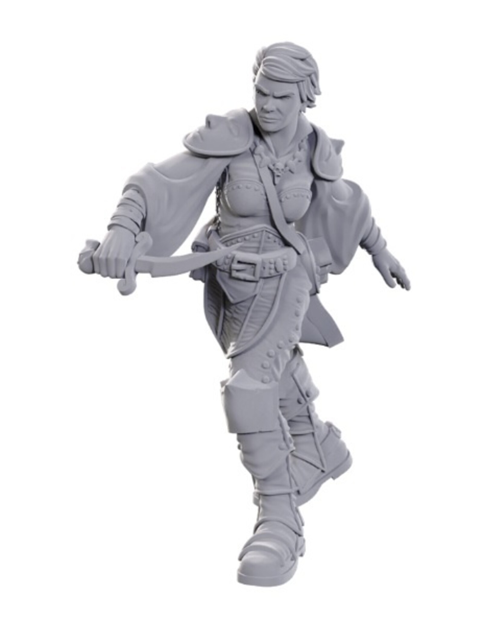WizKids D&D: Nolzur's MUM - W25 Swashbuckler