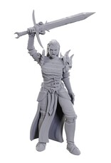 WizKids D&D: Nolzur's MUM - W25 Blackguard