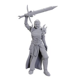 WizKids D&D: Nolzur's MUM - W25 Blackguard
