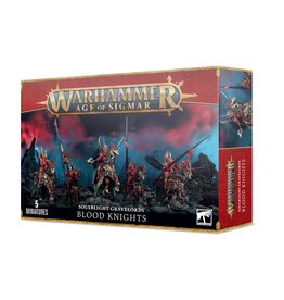 Age of Sigmar Soulblight Gravelords: Blood Knights
