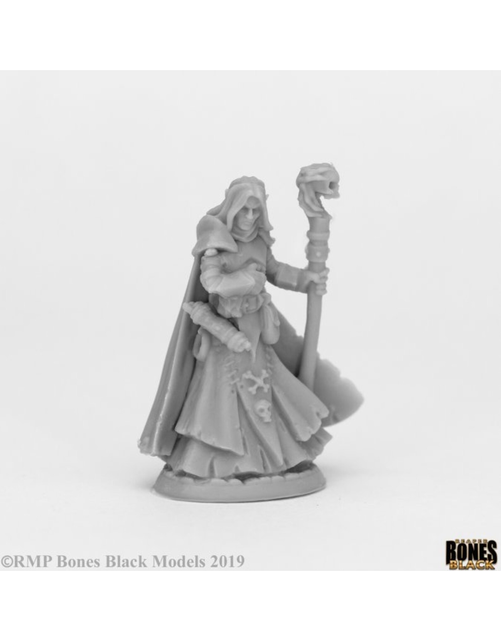 Reaper Dark Elf Wizard