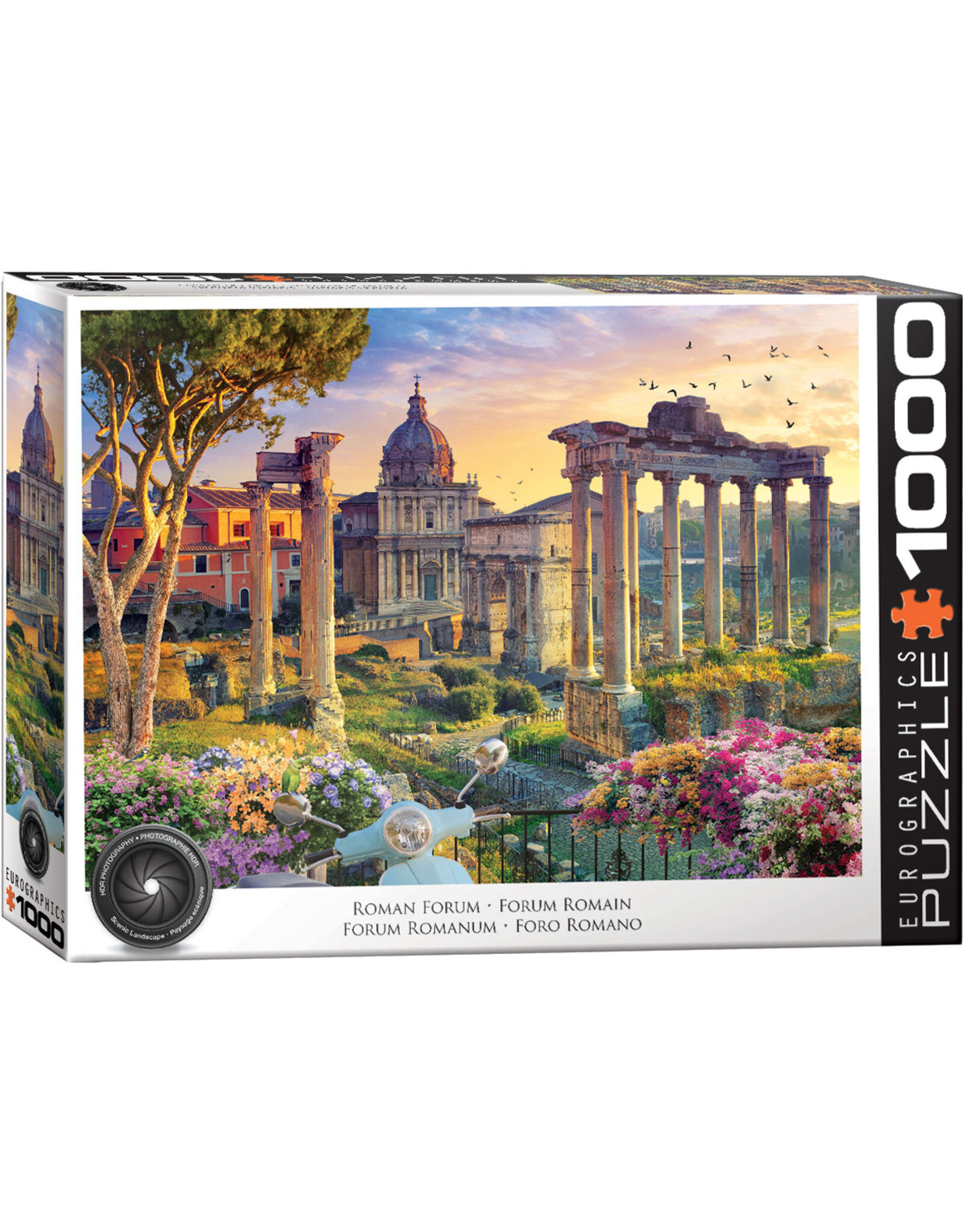 Eurographics Puzzle: Roman Forum