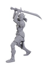 WizKids D&D: Nolzur's MUM - SE BG3, Lae'zel & Shadowheart