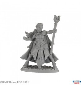 Reaper Reaper: Alaedril Starbloom, Elf Wizard