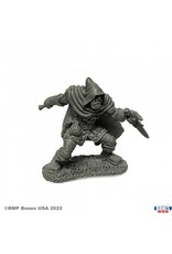 Reaper Rogan, Half-Orc Thief