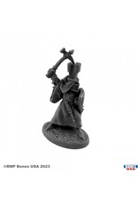 Reaper Sir Roland the Grey