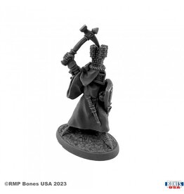 Reaper Sir Roland the Grey