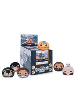 Tee Turtle Plushie Blind Box: Avatar the Last Airbender
