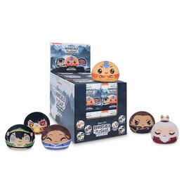 Tee Turtle Plushie Blind Box: Avatar the Last Airbender