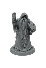 Reaper Dungeon Dwellers: Belevos, Traveling Wizard