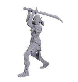 WizKids D&D Nolzur's Marvelous Miniatures: Special Edition Baldur's Gate 3: Lae'zel & Shadowheart