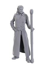 WizKids D&D Nolzur's Marvelous Miniatures: Special Edition Baldur's Gate 3: Gale & Astarion