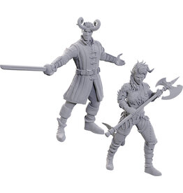 WizKids D&D Nolzur's Marvelous Miniatures: Special Edition Baldur's Gate 3: Wyll & Karlach
