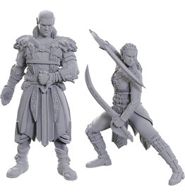 WizKids D&D Nolzur's Marvelous Miniatures: Special Edition Baldur's Gate 3: Jaheira & Halsin