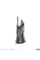 Reaper Anirion, Elf Wizard