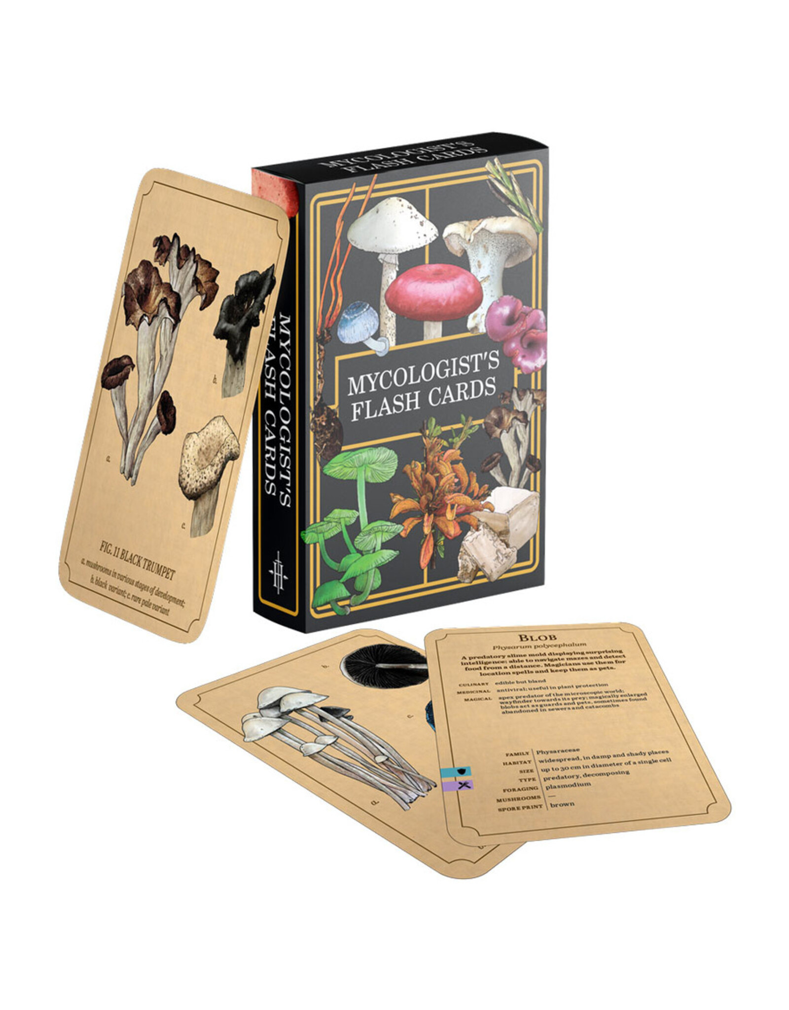 Renegade Games Studios Mycologist's Primer: Flash Cards