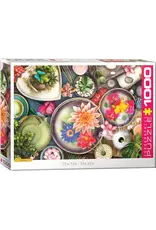 Eurographics Puzzle: Zen Spa