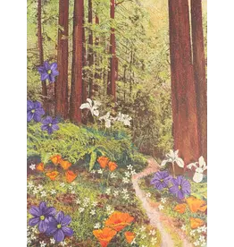 Oakland Puzzle Company Puzzle: Golden Beams in Redwoods (1000pc)