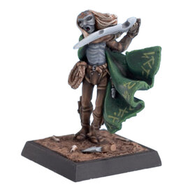 Reaper Legends: Dark Elf Assassin