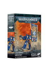 Warhammer 40K Space Marines: Ancient In Terminator Armour