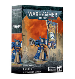 Warhammer 40K Space Marines: Ancient In Terminator Armour