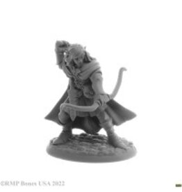 Reaper Lanaerel Grayleaf, Elf Ranger