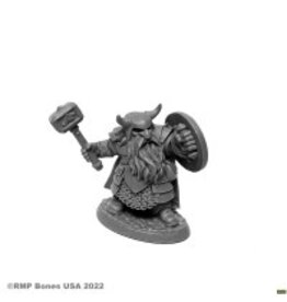 Reaper Borin Ironbrow, Dwarf Fighter