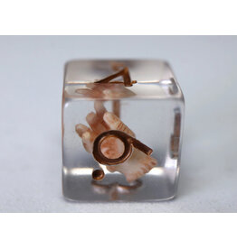 Foam Brain Give Me a Hand RPG Dice Set