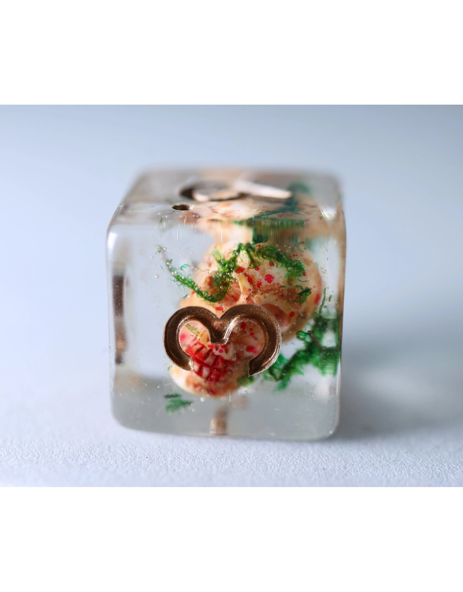 Foam Brain Ancient Skull RPG Dice Set